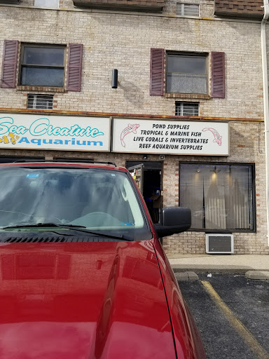 Aquarium Shop «Sea Creature Aquarium», reviews and photos, 1455 Mineral Spring Ave, North Providence, RI 02904, USA