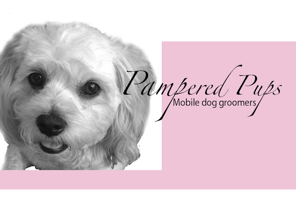 Pampered Pups