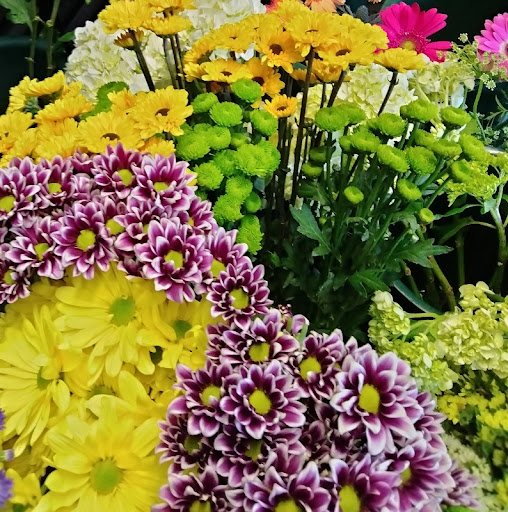 Florist «Skyway Creations», reviews and photos, 1407 S 8th St, Colorado Springs, CO 80905, USA