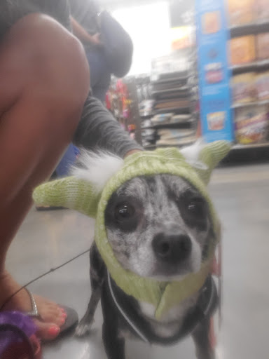 Pet Supply Store «Petco Animal Supplies», reviews and photos, 38069 Town Center Dr #222, Millville, DE 19967, USA