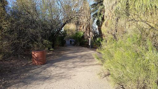 Park «Evelyn Hallman Park», reviews and photos, 1900 N College Ave, Tempe, AZ 85281, USA