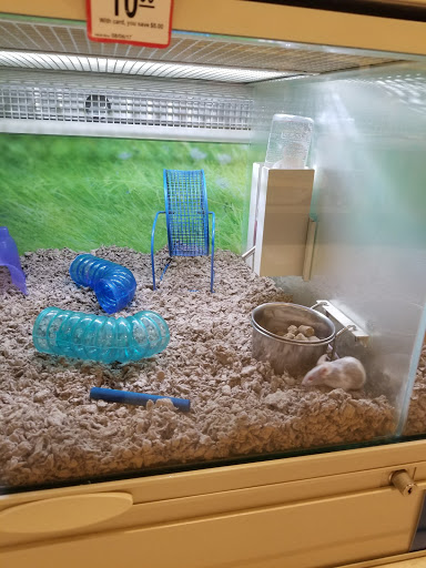 Pet Supply Store «PetSmart», reviews and photos, 4421 Virginia Beach Blvd, Virginia Beach, VA 23462, USA