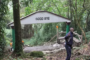 Mount Cameroon National Park image