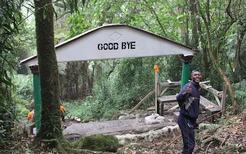 Mount Cameroon National Park image