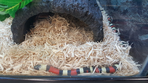 Pet Supply Store «Petco Animal Supplies», reviews and photos, 859 Kings Creek Dr, Tupelo, MS 38804, USA