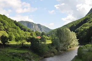 Parcul Național Domogled-Valea Cernei image