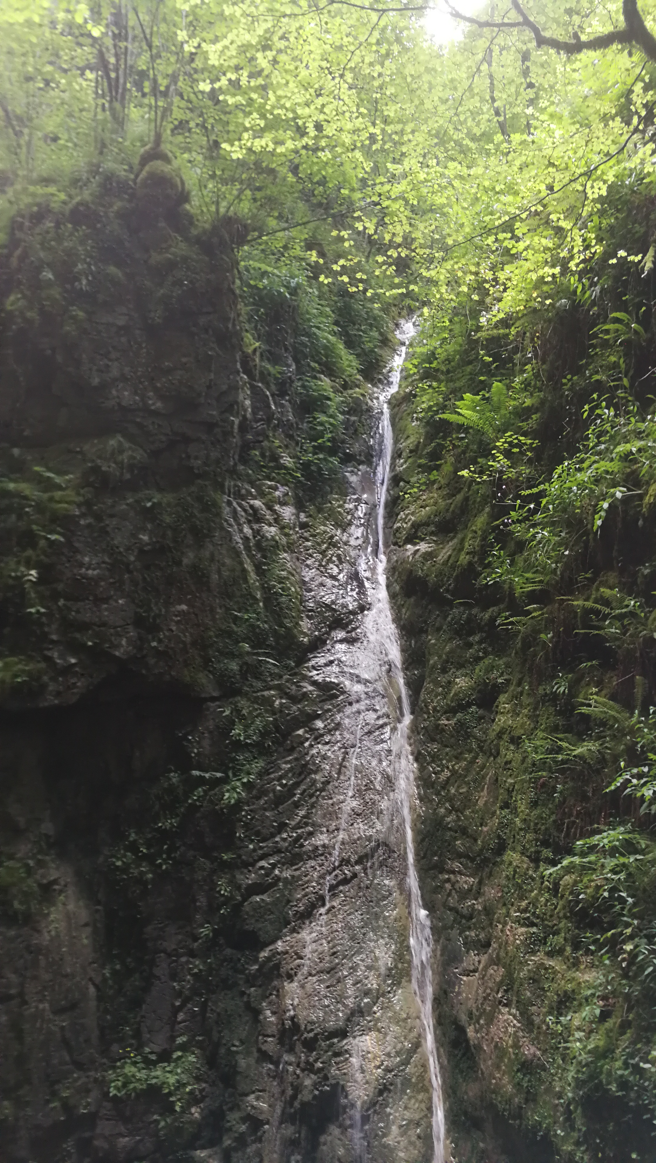 Photo n° 45 de l'avis de Corentin.t fait le 17/07/2019 à 21:16