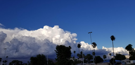 Park «Pierce Park», reviews and photos, 2150 N 46th St, Phoenix, AZ 85008, USA