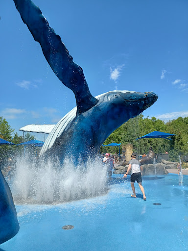 Water Park «Alaskan Adventure», reviews and photos, 3701 S 10th St, Omaha, NE 68107, USA