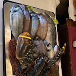 Photo n°1 de l'avis de Bruno.e fait le 04/01/2023 à 08:03 sur le  La Locanda Porta Picc à Polignano a Mare