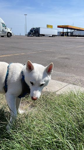 American Restaurant «Cracker Barrel Old Country Store», reviews and photos, 3840 Eagle View Dr, Indianapolis, IN 46254, USA