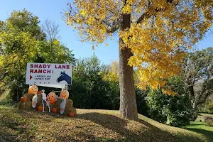 Shady Lane Ranch, Inc. image