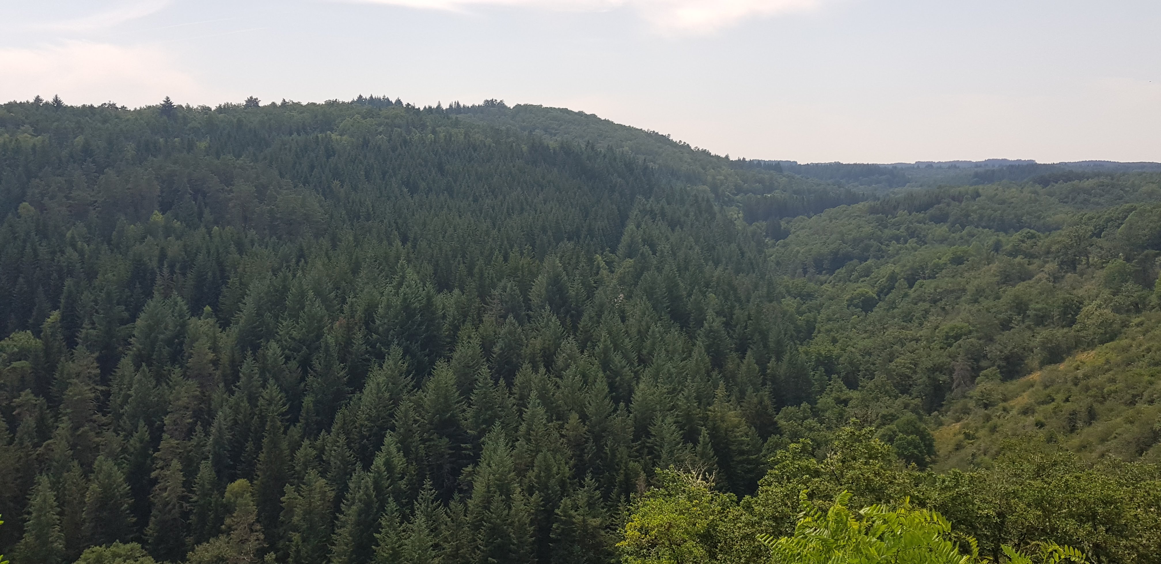 Photo n° 3 de l'avis de gui.i fait le 24/07/2021 à 14:28