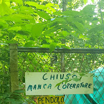 Photo n°4 de l'avis de Andrea.e fait le 22/07/2022 à 08:11 sur le  Osteria Ai Pioppi à Nervesa della Battaglia