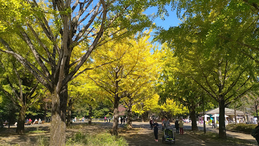 東京都立光が丘公園