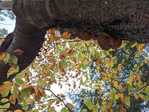 Park «Eisenhower Park», reviews and photos, 780 North St, Milford, CT 06461, USA