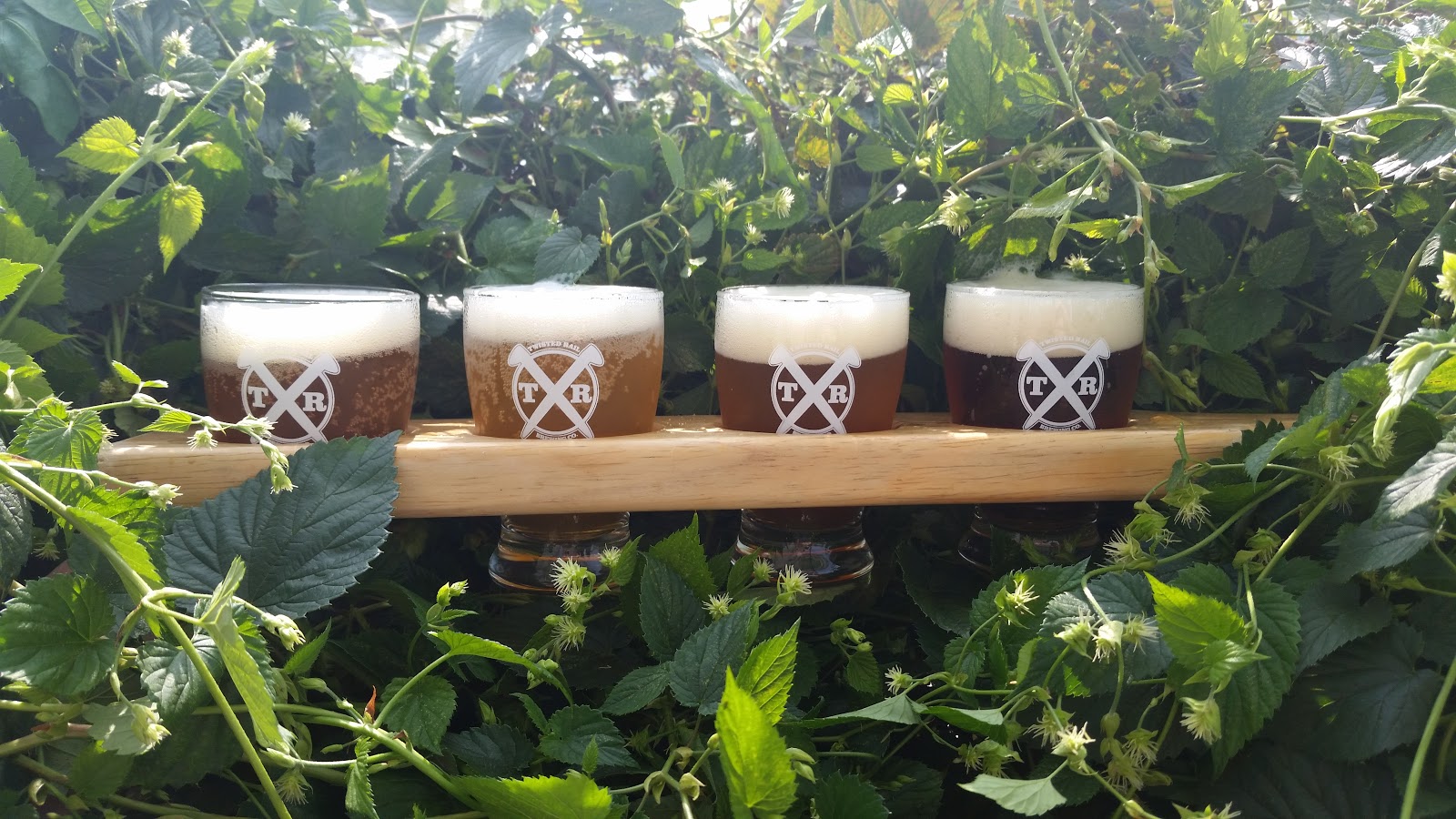 A row of beer taps