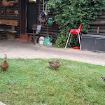 Photo n°3 de l'avis de Rike.. fait le 28/08/2022 à 17:40 sur le  Fischerhütte Flecken Zechlin à Rheinsberg