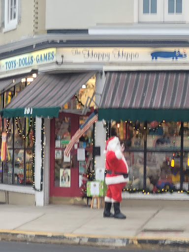Toy Store «Happy Hippo Toys», reviews and photos, 201 Kings Hwy E, Haddonfield, NJ 08033, USA