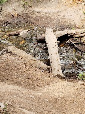 Hunter Creek Falls - photo 71