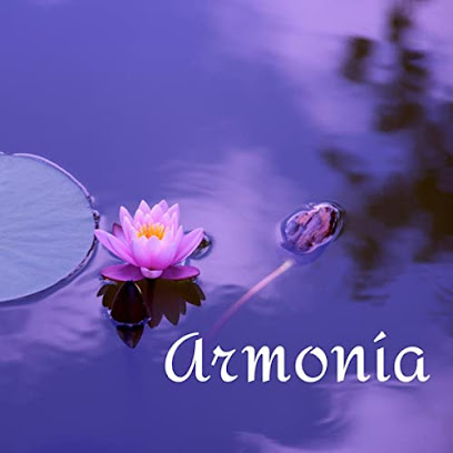 Armonía ,salón de masaje ,reiki , reflexología, depilación, terapeuta floral ,tarot y pendulo terapia de respuestas espiritual, electrodos