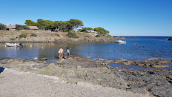 Photo de Platja Confitera avec petite baie