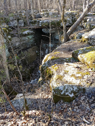 Park «Barfield Crescent Park», reviews and photos, 697 Veterans Pkwy, Murfreesboro, TN 37128, USA