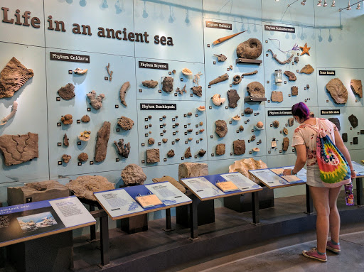 Museum «Museum of the Earth», reviews and photos, 1259 Trumansburg Rd, Ithaca, NY 14850, USA