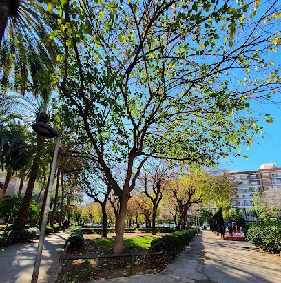 Parque – Plaza Doctor Torrens – Valencia