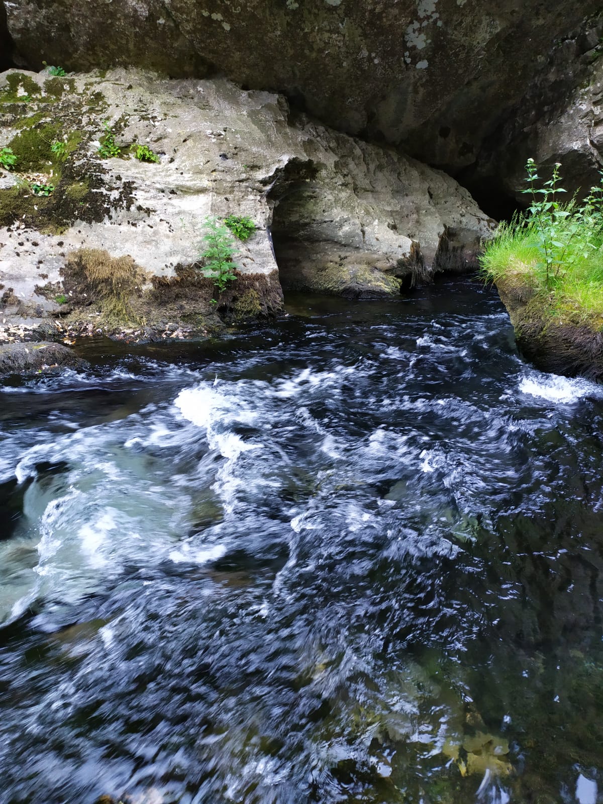 Photo n° 1 de l'avis de Olivier.l fait le 28/07/2019 à 09:04