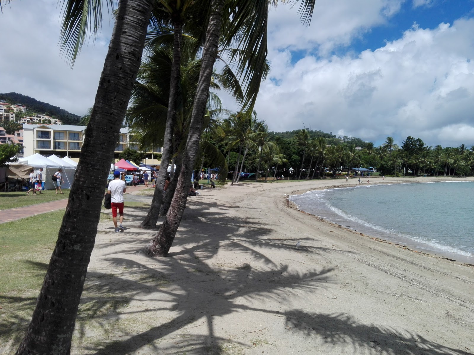 Airlie Beach'in fotoğrafı - rahatlamayı sevenler arasında popüler bir yer