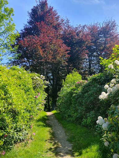 Tourist Attraction «Governor Ames Estate», reviews and photos, 35 Oliver St, North Easton, MA 02356, USA