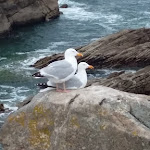 Photo n° 14 de l'avis de pier.i fait le 18/05/2021 à 17:13 pour Morbihan Tourisme à Vannes