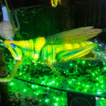 Photo n° 6 de l'avis de Christelle.l fait le 06/02/2024 à 19:02 pour Zoo d'Amnéville à Amnéville