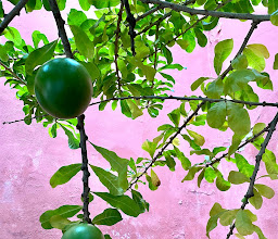 Iglesia de Santa Lucía photo