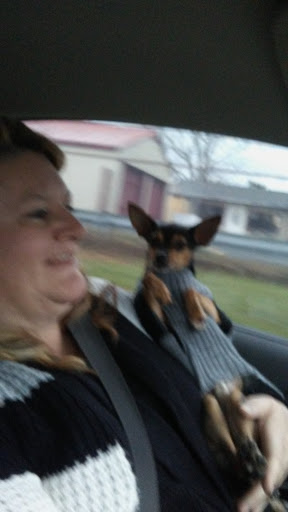 Self-Storage Facility «AAAA Self Storage & Moving», reviews and photos, 6610 Winchester Ave, Inwood, WV 25428, USA