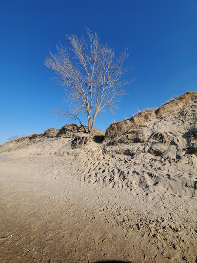 National Park «West Beach - Indiana Dunes National Lakeshore», reviews and photos, Long Lake Trail Loop, Gary, IN 46403, USA