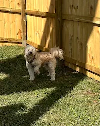 Rovers Stay Over - Car repair in Johnson City, TN, Johnson City - Rated 5.0/5