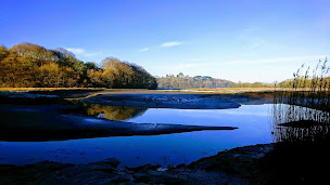 Photo n°63 de Le Bistro des Moulins à Plouvien ()