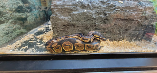 Pet Supply Store «Petco Animal Supplies», reviews and photos, 891 NE D St, Grants Pass, OR 97526, USA