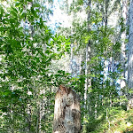 Photo n°6 de l'avis de ros.o fait le 09/09/2023 à 16:00 sur le  Parco Hotel Granaro à Sorbo San Basile