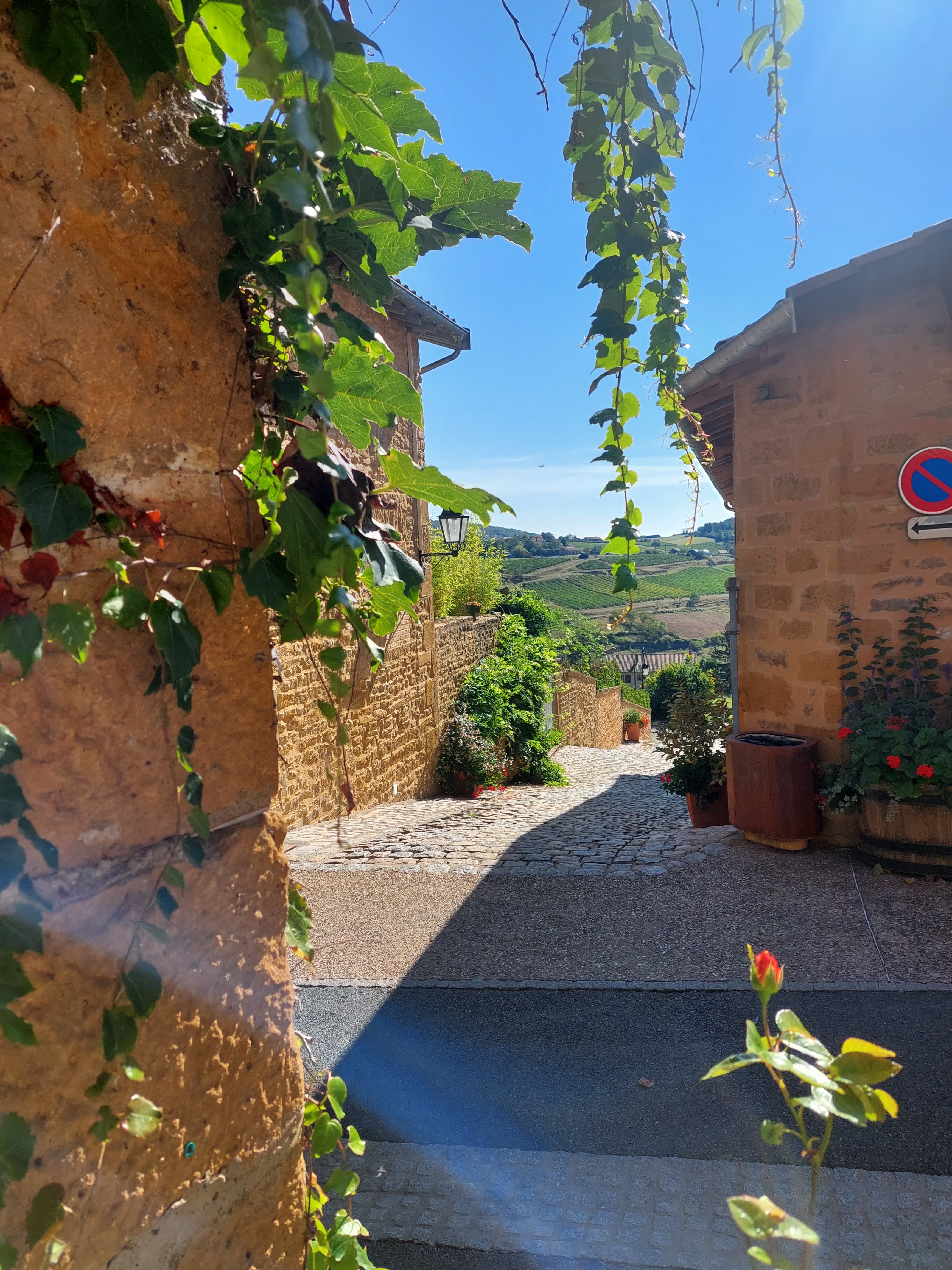 Photo n° 11 de l'avis de Rogers.a fait le 17/09/2021 à 19:49