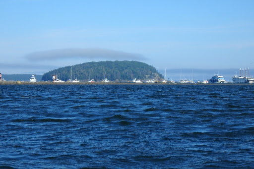 Tourist Information Center «Coastal Kayaking Tours Inc», reviews and photos, 48 Cottage St, Bar Harbor, ME 04609, USA