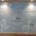 Photo n°1 de l'avis de Nicola.u fait le 13/04/2019 à 14:54 sur le  Humus Bio Bakery Bistrot à Parma