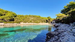 Zitna beach'in fotoğrafı ve yerleşim