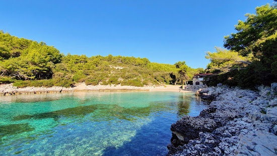 Zitna beach