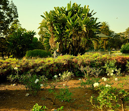 Burgers Park. photo
