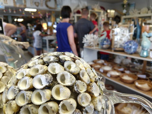 Gift Shop «Sea Shell Shoppe», reviews and photos, 120 N Austin St, Rockport, TX 78382, USA