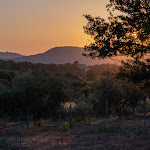 Photo n°1 de l'avis de Pete.a fait le 07/08/2022 à 13:53 sur le  Albero Capovolto à Olbia