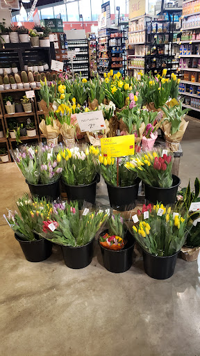 Grocery Store «Whole Foods Market», reviews and photos, 44 Godwin Ave, Ridgewood, NJ 07450, USA